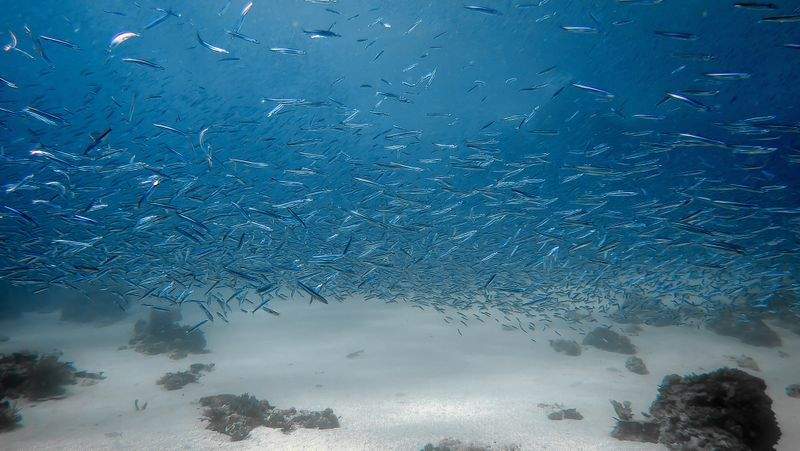 Southern Star Academy - Image 15